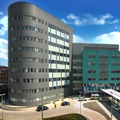 Bexley wing